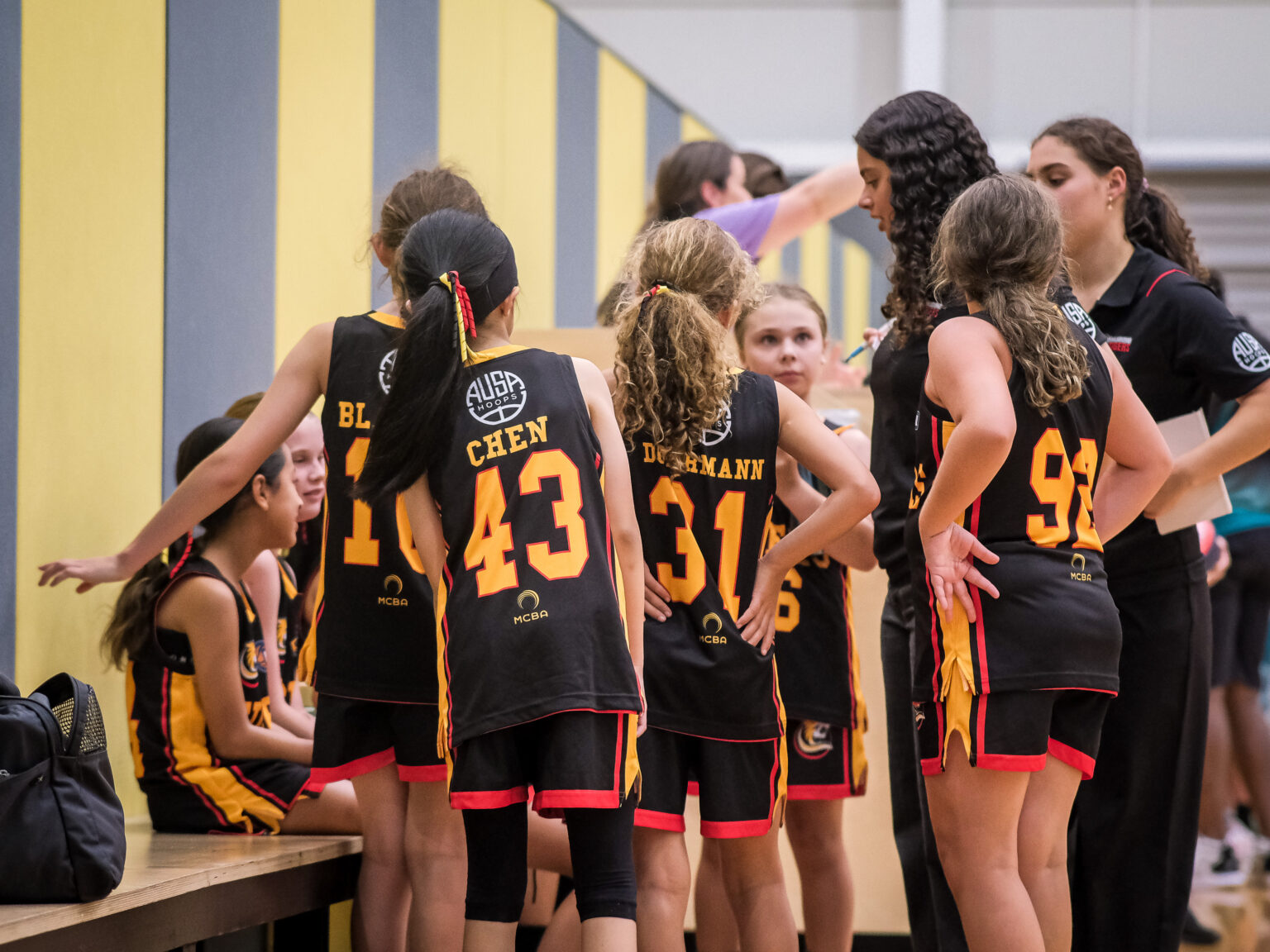 VJBL Information Melbourne Tigers