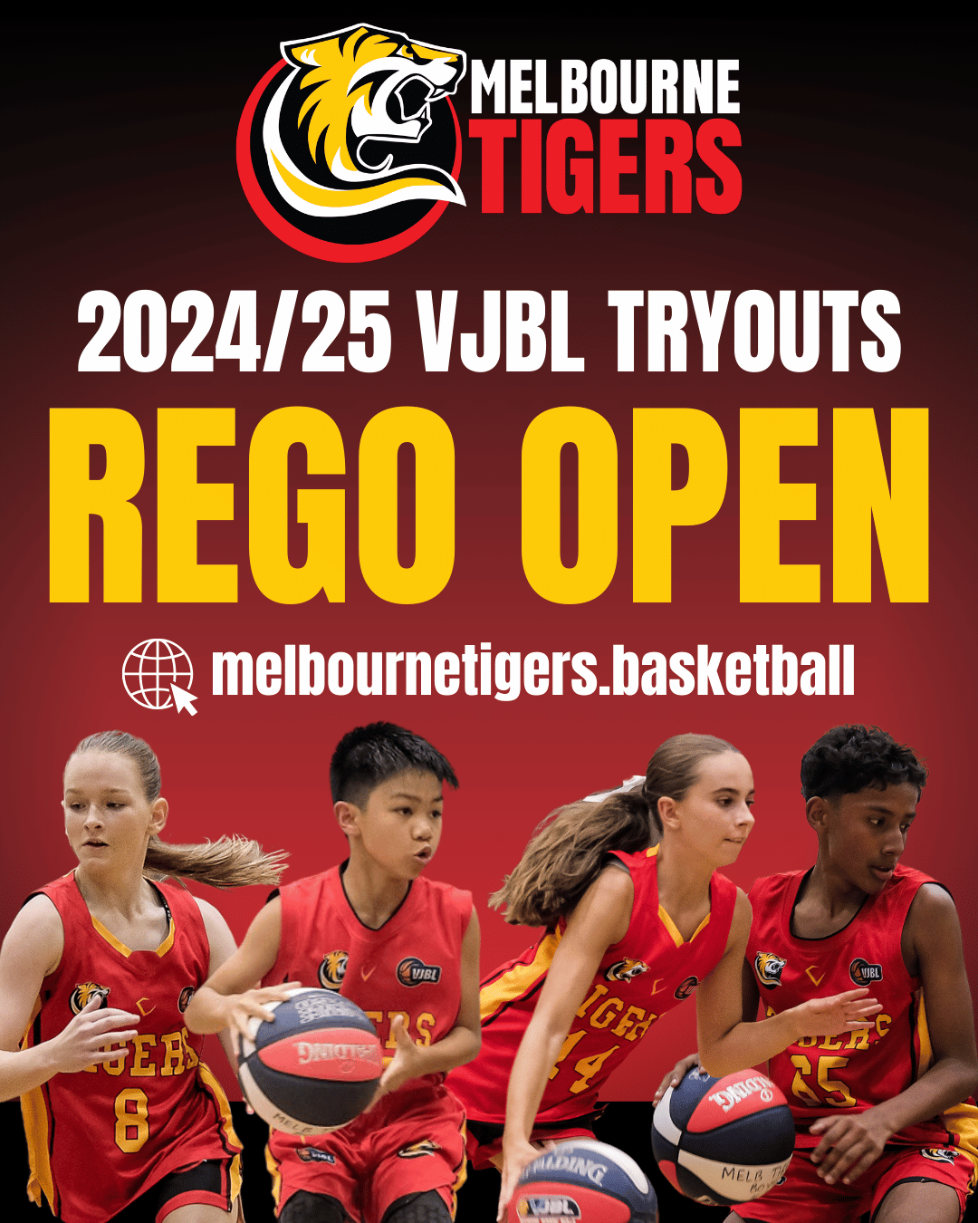 Registration for the 2024/25 VJBL Tryouts is NOW OPEN! Melbourne Tigers